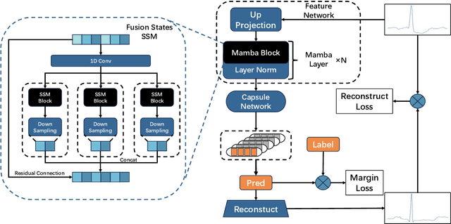 Figure 1 for MambaCapsule: Towards Transparent Cardiac Disease Diagnosis with Electrocardiography Using Mamba Capsule Network