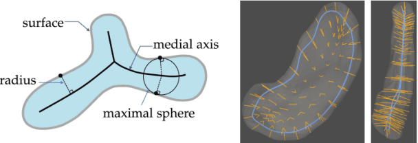 Figure 1 for Skeletal Point Representations with Geometric Deep Learning