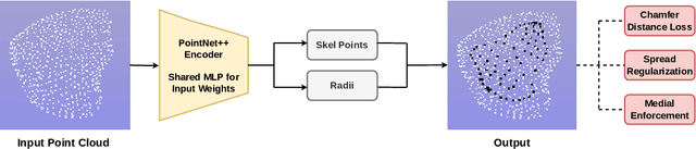 Figure 3 for Skeletal Point Representations with Geometric Deep Learning