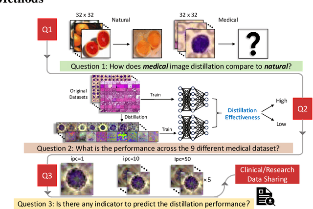 Figure 3 for Dataset Distillation in Medical Imaging: A Feasibility Study