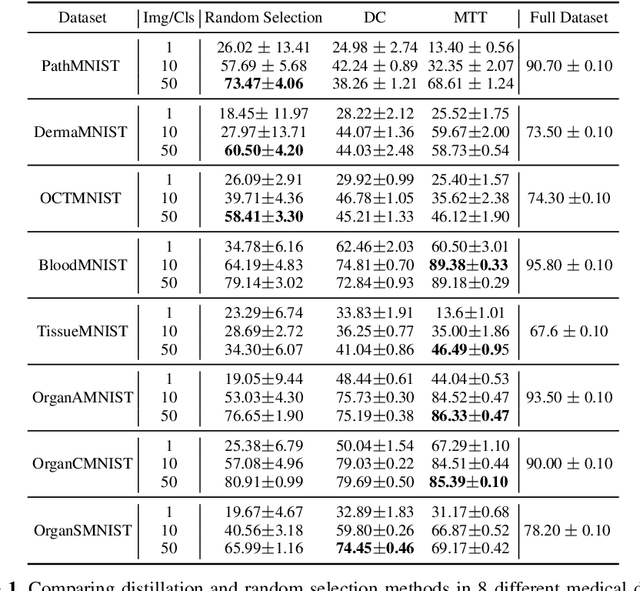 Figure 2 for Dataset Distillation in Medical Imaging: A Feasibility Study