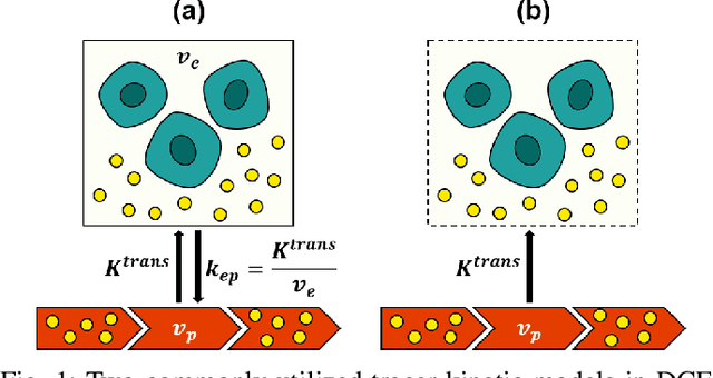 Figure 1 for Unpaired Deep Learning for Pharmacokinetic Parameter Estimation from Dynamic Contrast-Enhanced MRI