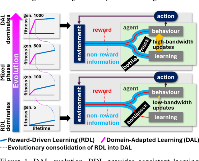 Figure 1 for Breaching the Bottleneck: Evolutionary Transition from Reward-Driven Learning to Reward-Agnostic Domain-Adapted Learning in Neuromodulated Neural Nets