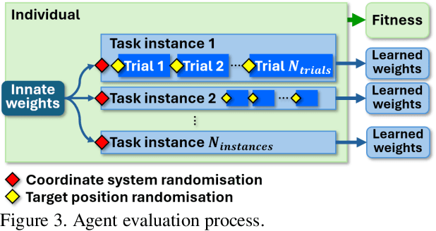 Figure 3 for Breaching the Bottleneck: Evolutionary Transition from Reward-Driven Learning to Reward-Agnostic Domain-Adapted Learning in Neuromodulated Neural Nets
