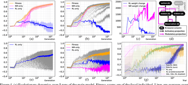 Figure 4 for Breaching the Bottleneck: Evolutionary Transition from Reward-Driven Learning to Reward-Agnostic Domain-Adapted Learning in Neuromodulated Neural Nets