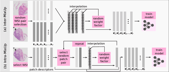 Figure 1 for MixUp-MIL: Novel Data Augmentation for Multiple Instance Learning and a Study on Thyroid Cancer Diagnosis