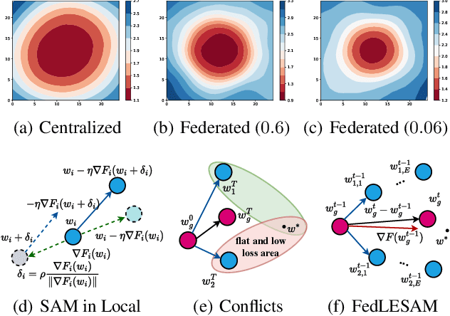 Figure 1 for Locally Estimated Global Perturbations are Better than Local Perturbations for Federated Sharpness-aware Minimization