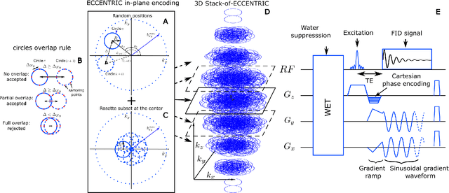 Figure 1 for ECCENTRIC: a fast and unrestrained approach for high-resolution in vivo metabolic imaging at ultra-high field MR