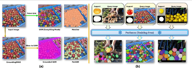 Figure 1 for PerSense: Personalized Instance Segmentation in Dense Images