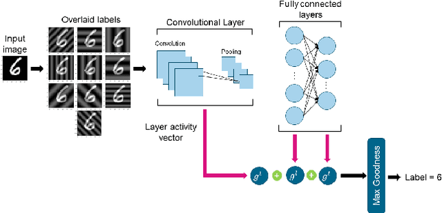 Figure 2 for On Advancements of the Forward-Forward Algorithm