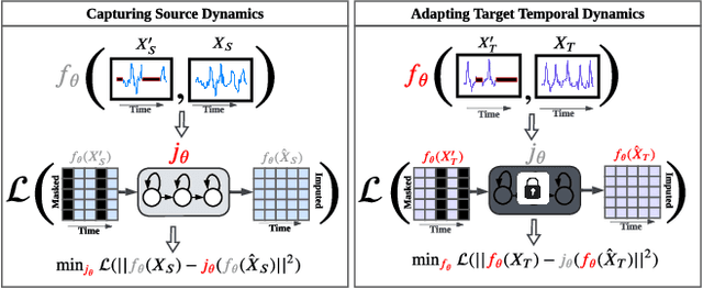 Figure 3 for Evidentially Calibrated Source-Free Time-Series Domain Adaptation with Temporal Imputation