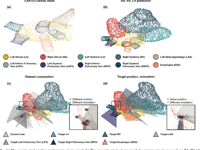 Figure 3 for AI-driven View Guidance System in Intra-cardiac Echocardiography Imaging