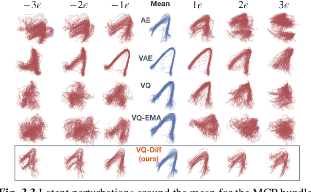 Figure 4 for Differentiable VQ-VAE's for Robust White Matter Streamline Encodings