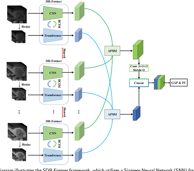 Figure 1 for SDR-Former: A Siamese Dual-Resolution Transformer for Liver Lesion Classification Using 3D Multi-Phase Imaging