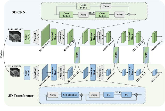 Figure 3 for SDR-Former: A Siamese Dual-Resolution Transformer for Liver Lesion Classification Using 3D Multi-Phase Imaging