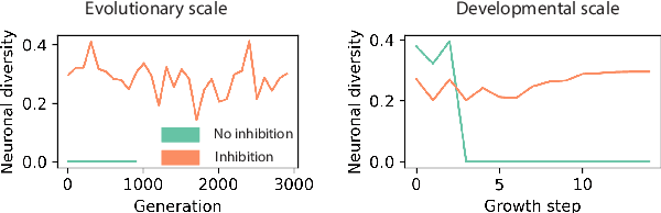 Figure 2 for Growing Artificial Neural Networks for Control: the Role of Neuronal Diversity