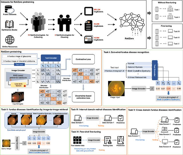 Figure 1 for Common and Rare Fundus Diseases Identification Using Vision-Language Foundation Model with Knowledge of Over 400 Diseases