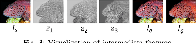 Figure 3 for SINET: Sparsity-driven Interpretable Neural Network for Underwater Image Enhancement