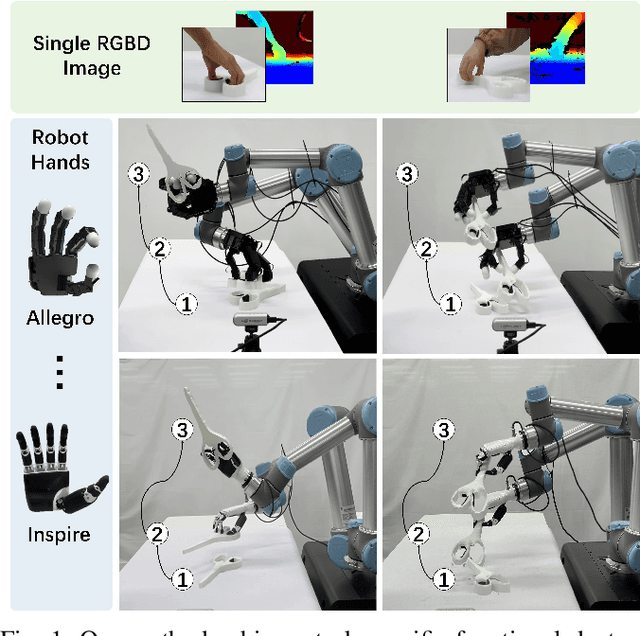 Figure 1 for FunGrasp: Functional Grasping for Diverse Dexterous Hands