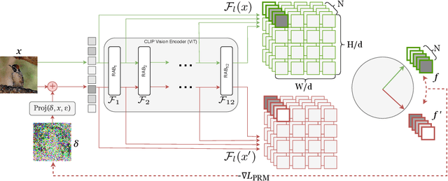 Figure 3 for As Firm As Their Foundations: Can open-sourced foundation models be used to create adversarial examples for downstream tasks?