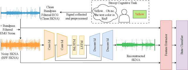 Figure 1 for Autoencoder-Based Denoising of Muscle Artifacts in ECG to Preserve Skin Nerve Activity (SKNA) for Cognitive Stress Detection