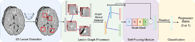 Figure 1 for Self-pruning Graph Neural Network for Predicting Inflammatory Disease Activity in Multiple Sclerosis from Brain MR Images