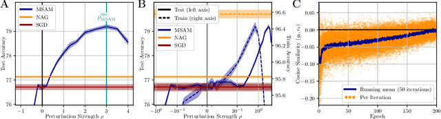 Figure 4 for Momentum-SAM: Sharpness Aware Minimization without Computational Overhead