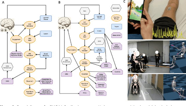 Figure 3 for A Causal Framework for Precision Rehabilitation