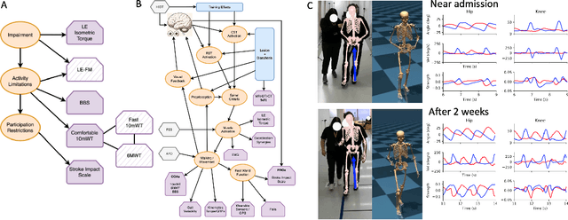 Figure 4 for A Causal Framework for Precision Rehabilitation