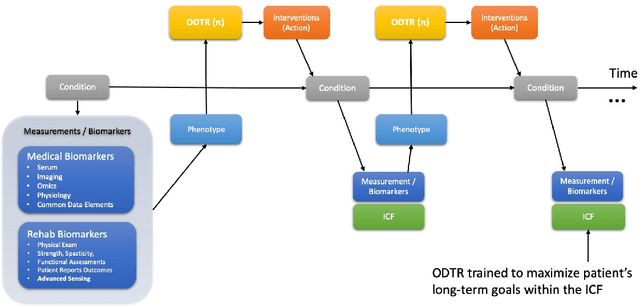 Figure 1 for A Causal Framework for Precision Rehabilitation