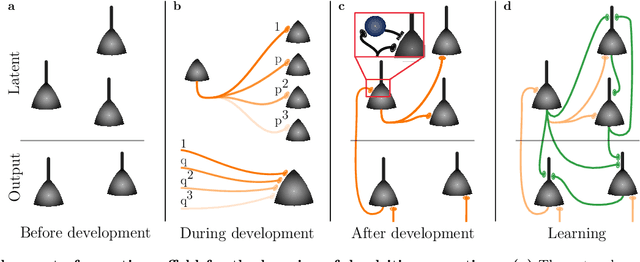 Figure 1 for Order from chaos: Interplay of development and learning in recurrent networks of structured neurons