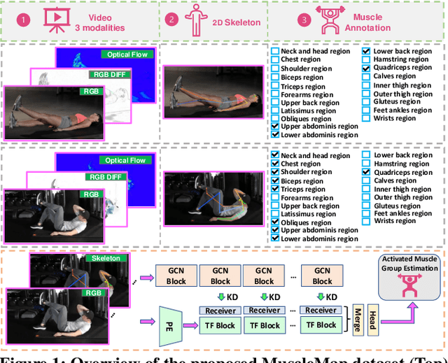 Figure 1 for MuscleMap: Towards Video-based Activated Muscle Group Estimation