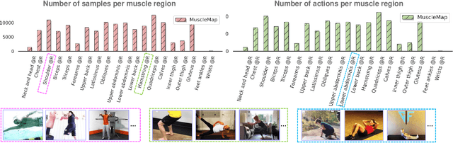 Figure 3 for MuscleMap: Towards Video-based Activated Muscle Group Estimation