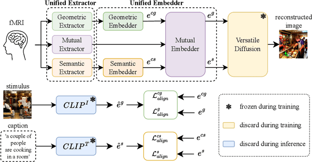 Figure 3 for UniBrain: A Unified Model for Cross-Subject Brain Decoding