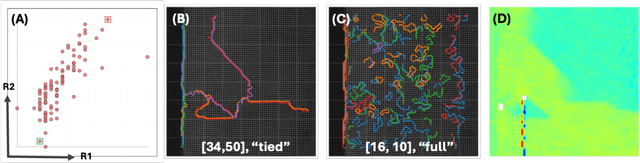 Figure 3 for Reward driven workflows for unsupervised explainable analysis of phases and ferroic variants from atomically resolved imaging data