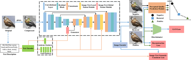 Figure 3 for Multi-Modality Deep Network for JPEG Artifacts Reduction