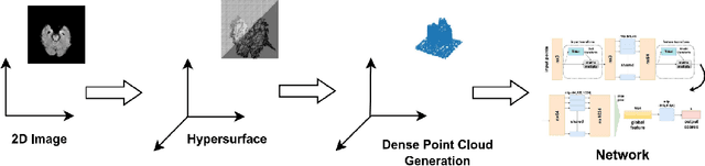 Figure 1 for Transcending Grids: Point Clouds and Surface Representations Powering Neurological Processing