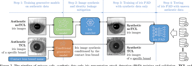 Figure 2 for Privacy-Safe Iris Presentation Attack Detection