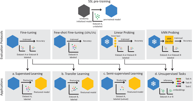 Figure 1 for A Closer Look at Benchmarking Self-Supervised Pre-training with Image Classification