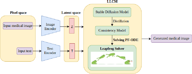 Figure 4 for Leapfrog Latent Consistency Model (LLCM) for Medical Images Generation