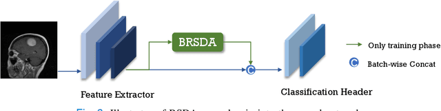 Figure 3 for Bayesian Random Semantic Data Augmentation for Medical Image Classification