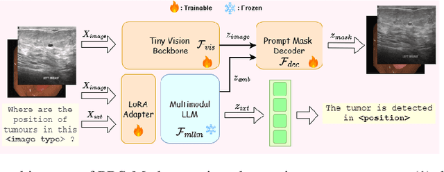 Figure 4 for PRS-Med: Position Reasoning Segmentation with Vision-Language Model in Medical Imaging