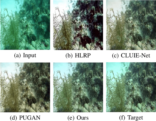 Figure 1 for UIE-UnFold: Deep Unfolding Network with Color Priors and Vision Transformer for Underwater Image Enhancement