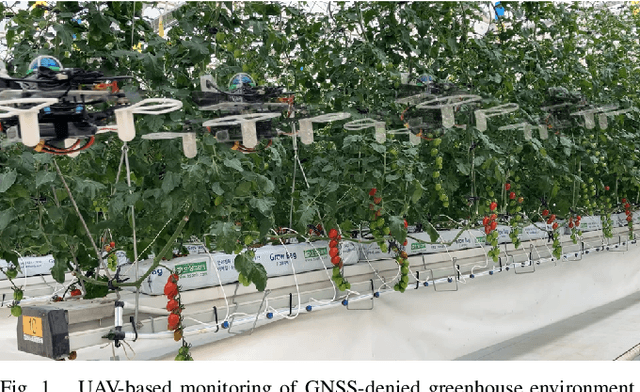 Figure 1 for Optimizing Indoor Farm Monitoring Efficiency Using UAV: Yield Estimation in a GNSS-Denied Cherry Tomato Greenhouse