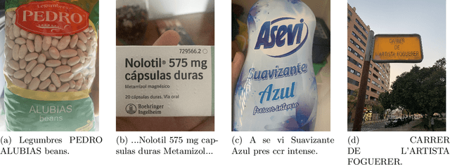 Figure 4 for An Artificial Intelligence-based Assistant for the Visually Impaired