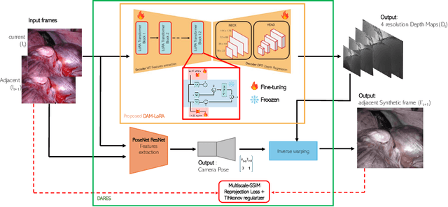 Figure 1 for DARES: Depth Anything in Robotic Endoscopic Surgery with Self-supervised Vector-LoRA of the Foundation Model