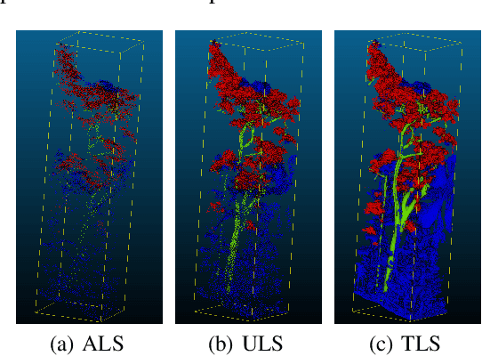 Figure 1 for Semantic segmentation of sparse irregular point clouds for leaf/wood discrimination