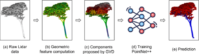 Figure 3 for Semantic segmentation of sparse irregular point clouds for leaf/wood discrimination