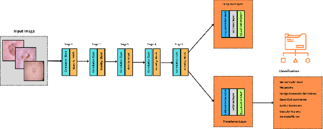 Figure 2 for Optimizing Deep Learning for Skin Cancer Classification: A Computationally Efficient CNN with Minimal Accuracy Trade-Off
