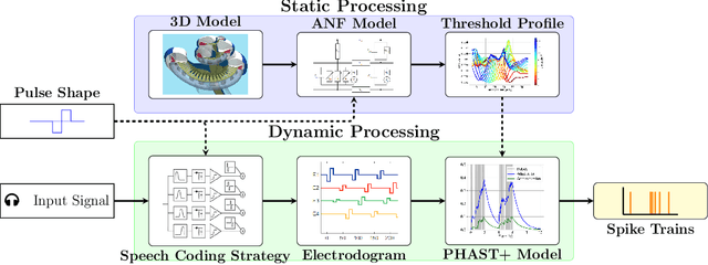 Figure 1 for From Spikes to Speech: NeuroVoc -- A Biologically Plausible Vocoder Framework for Auditory Perception and Cochlear Implant Simulation